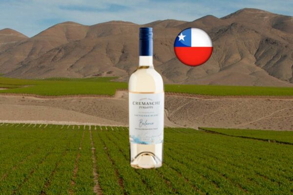 Cremaschi Furlotti Balance Sauvignon Blanc Valle del Maule DO - Thumbnail