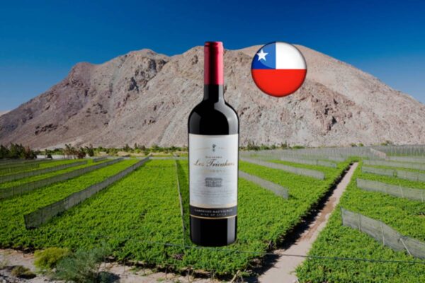 Hacienda Los Tricahues Reserve Cabernet Sauvignon 2023 - Thumbnail
