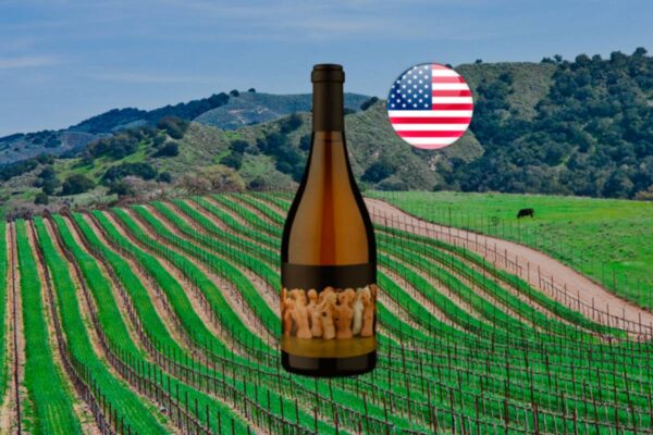 Mannequin California Chardonnay 2021 - Thumbnail