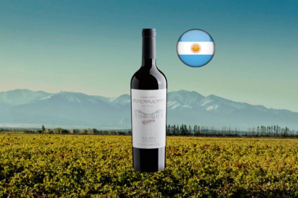 Palma Carola Spinsanti Reserva Malbec 2023 - Thumbnail