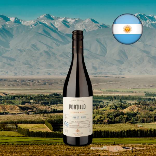 Portillo Valle de Uco Pinot Noir 2022 - Oferta