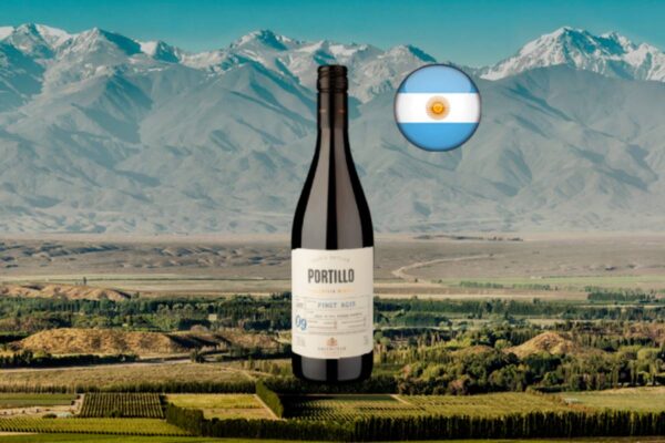 Portillo Valle de Uco Pinot Noir 2022 - Thumbnail