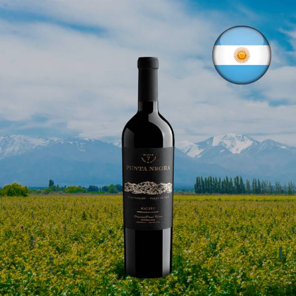 Punta Negra Block 7 Malbec 2024 - Oferta