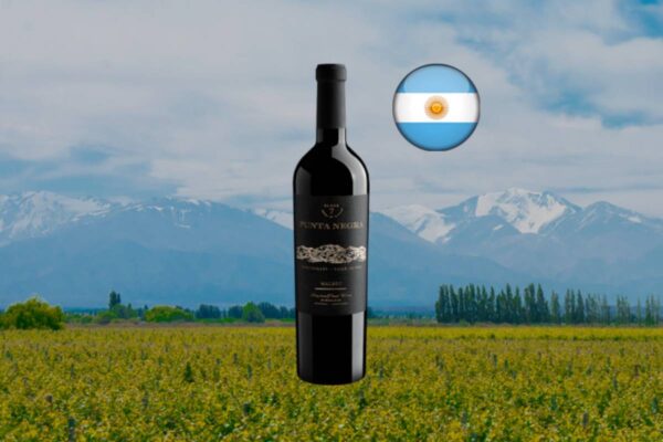 Punta Negra Block 7 Malbec 2024 - Thumbnail