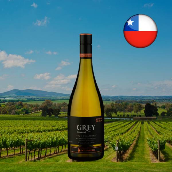 Ventisquero Grey Single Block Valle de Casablanca Chardonnay 2023 - Oferta