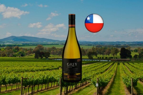 Ventisquero Grey Single Block Valle de Casablanca Chardonnay 2023 - Thumbnail