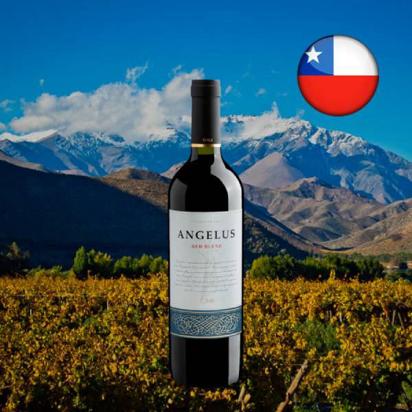 Angelus Red Blend - Oferta