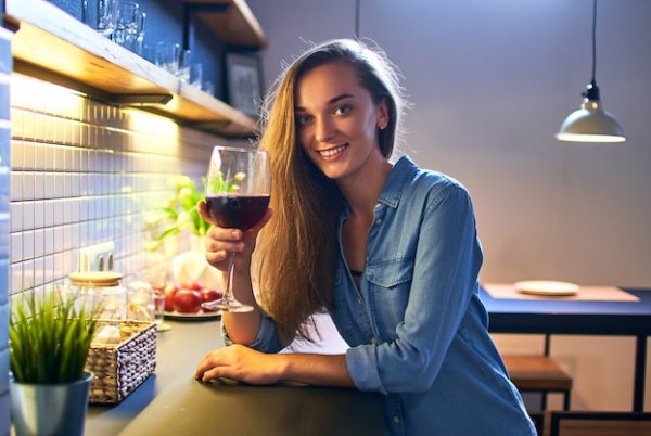 Las Colinas de Los Andes Syrah - Degustando