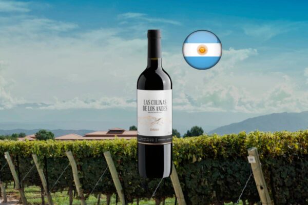 Las Colinas de Los Andes Syrah - Thumbnail