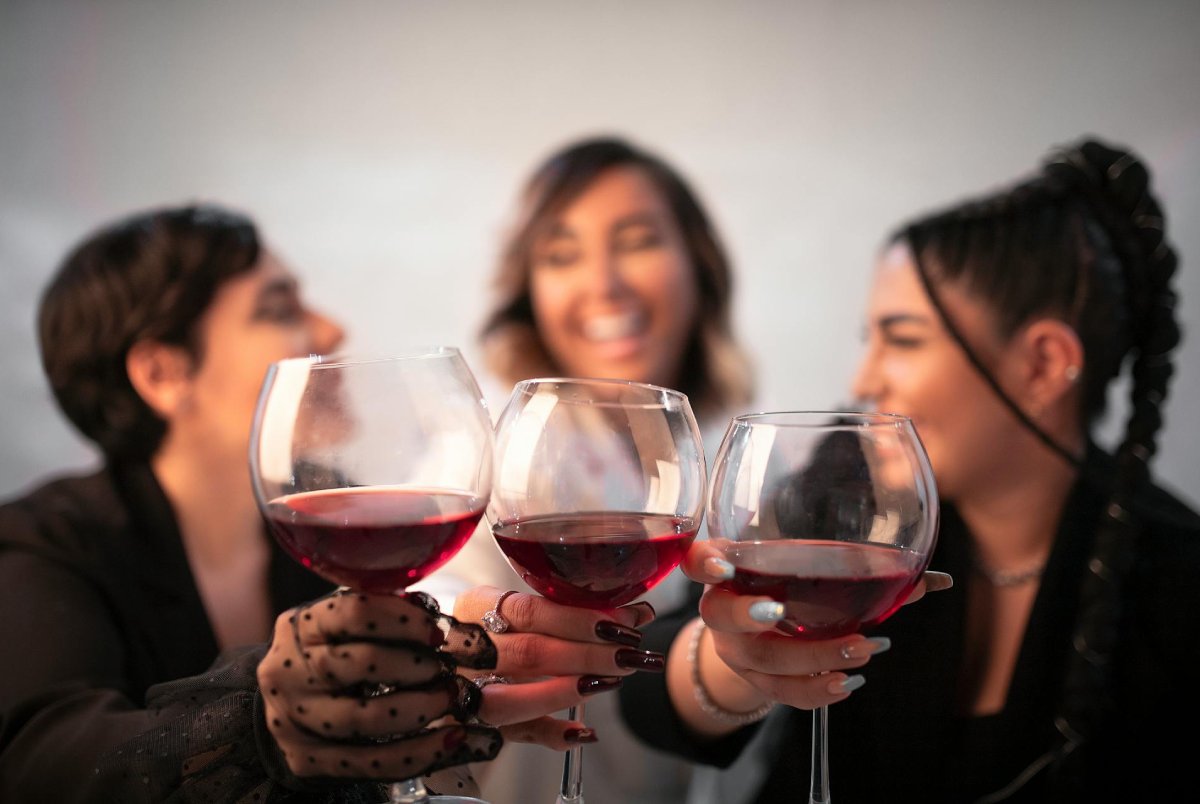 Roc La Gravière Bordeaux AOP - Degustando