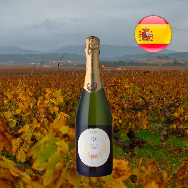 Bella Conchi Cava Brut Selección - Oferta