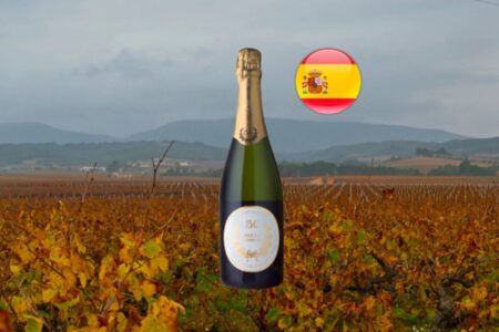 Bella Conchi Cava Brut Selección - Thumbnail