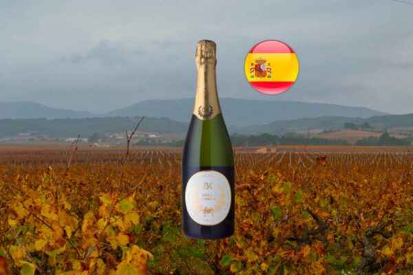Bella Conchi Cava Brut Selección - Thumbnail