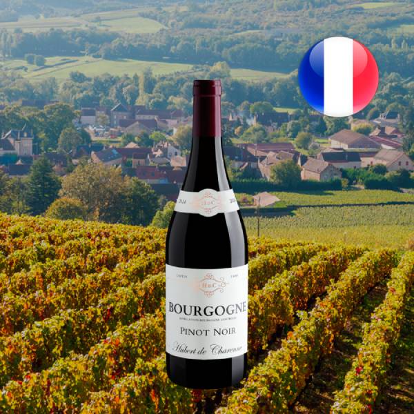 Hubert de Charenne Pinot Noir Bourgogne AOC 2024 - Oferta