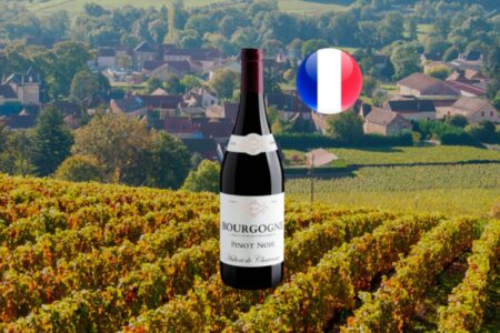 Hubert de Charenne Pinot Noir Bourgogne AOC 2024 - Thumbnail