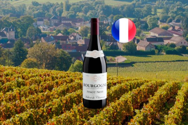 Hubert de Charenne Pinot Noir Bourgogne AOC 2024 - Thumbnail