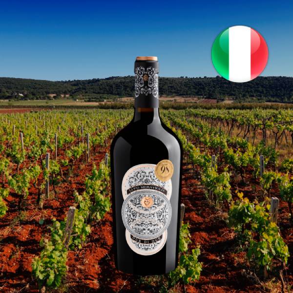 Lupo Meraviglia Due di Due Rosso di Puglia IGT 2024 - Oferta