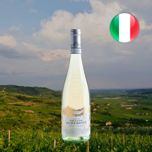 Grande Alberone Delle Venezie Pinot Grigio DOC 2025 - Oferta
