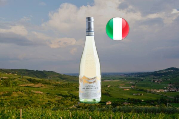 Grande Alberone Delle Venezie Pinot Grigio DOC 2025 - Thumbnail