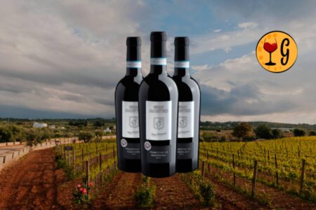 Kit 3 Gran Maestro Primitivo di Manduria DOC - Thumbnail