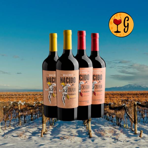 Kit Nacido & Criado en Mendoza: vale a pena comprar - Oferta