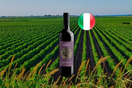 Orsamajor Collection Primitivo Puglia IGT - Thumbnail