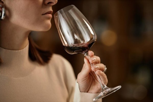 Príncipe de Viana Edición Limitada DO Navarra - Degustando