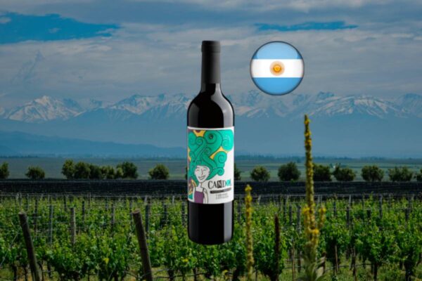 Candel Cabernet Sauvignon - Thumbnail