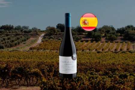 Castillo de Ayud La Guijarrosa Garnacha Tinta Calatayud DOP 2022 - Thumbnail