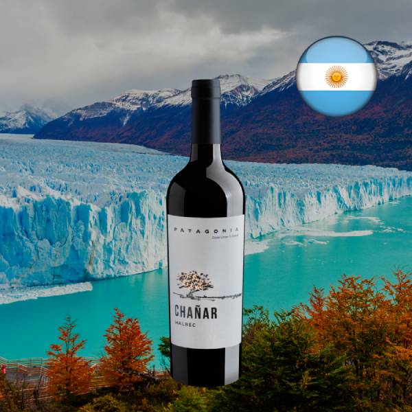 Chañar Malbec Patagonia 2025 - Oferta
