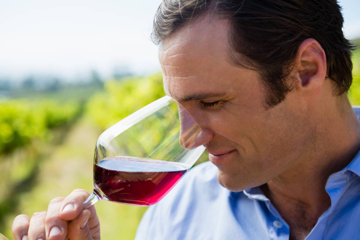 Claire de Jour Merlot - Degustando