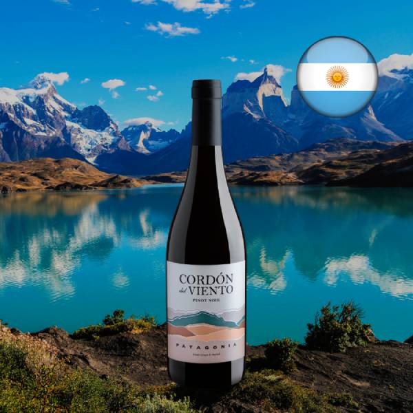 Cordón del Viento Pinot Noir Patagonia 2025 - Oferta