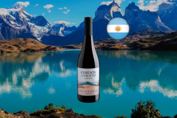 Cordón del Viento Pinot Noir Patagonia 2025 - Thumbnail