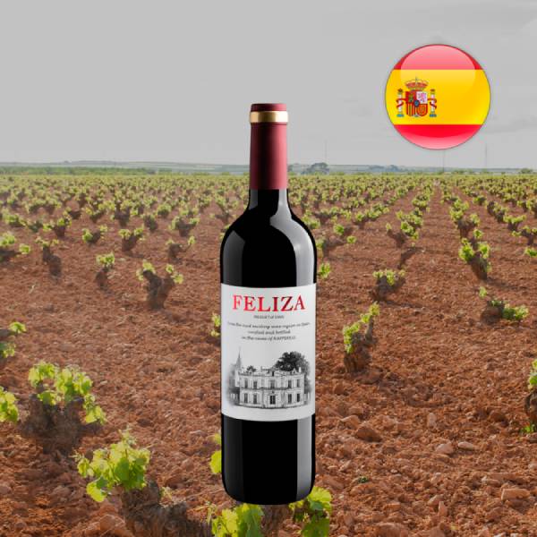 Feliza Tinto - Oferta