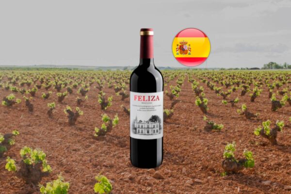 Feliza Tinto - Thumbnail