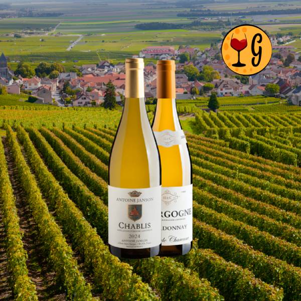Kit 1 Chablis + 1 Borgonha - Oferta