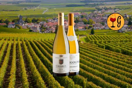 Kit 1 Chablis + 1 Borgonha - Thumbnail