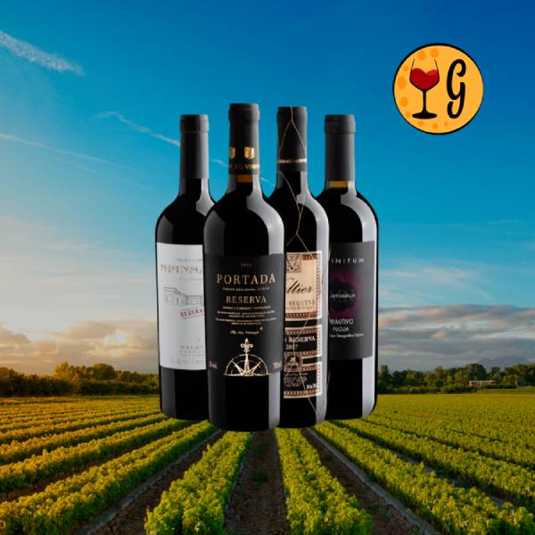 Kit 4 Tintos para Inverno por Daniel Perches - Oferta