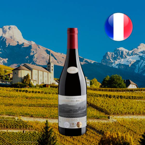 La Cité des Anges Côtes du Rhône AOP 2023 - Oferta