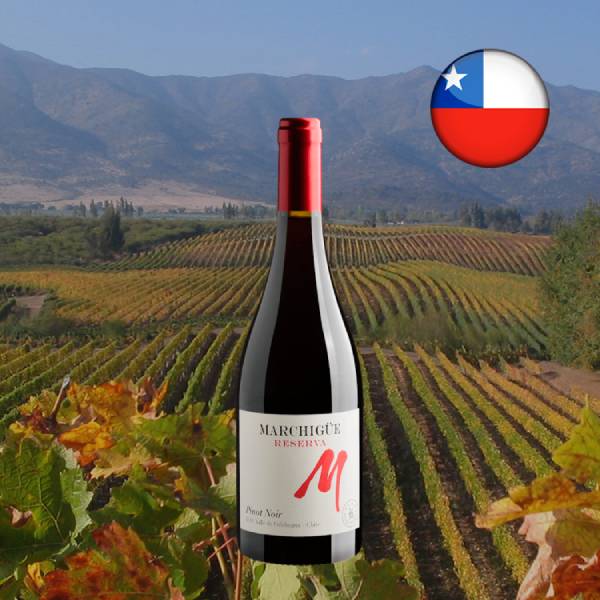 M Marchigüe Reserva Pinot Noir Valle de Colchagua DO - Oferta