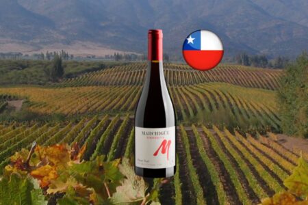 M Marchigüe Reserva Pinot Noir Valle de Colchagua DO - Thumbnail