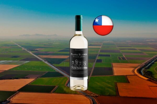 Playa Blanca Winemaker Selection Sauvignon Blanc - Thumbnail