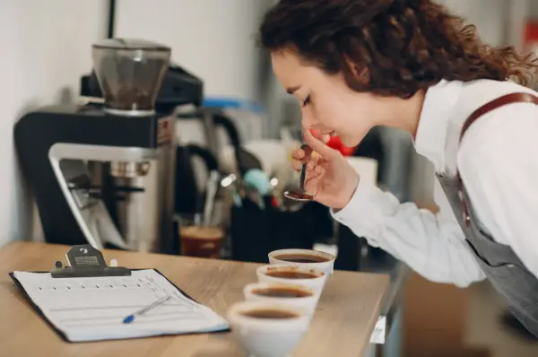 Avaliação sensorial de cafés especiais em diferentes xícaras