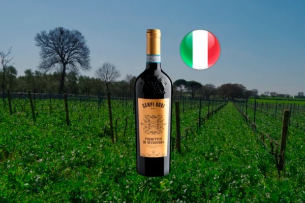 Campi Rudi Primitivo di Manduria DOC 2024 - Thumbnail