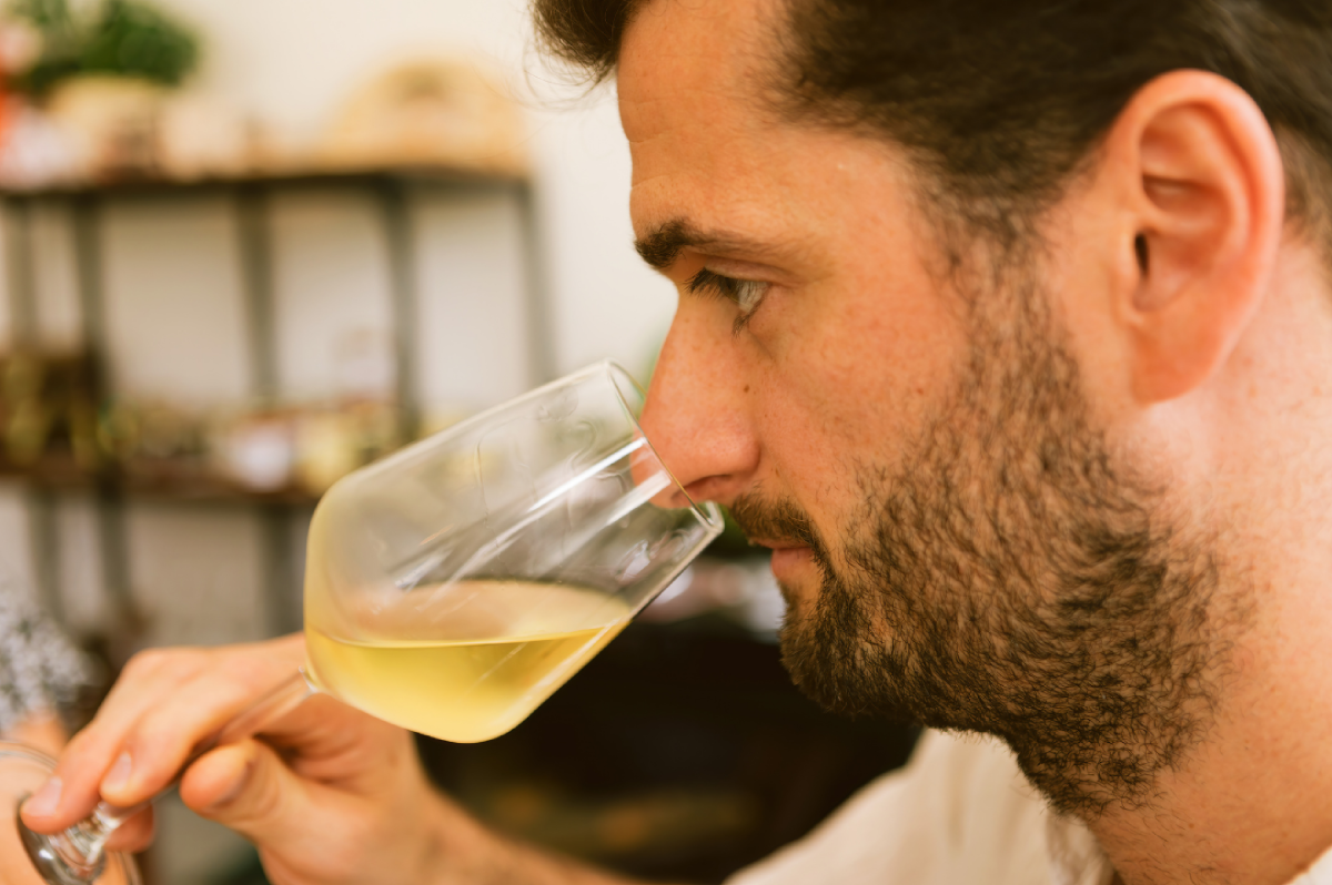Catena Chardonnay 2024 - Degustando