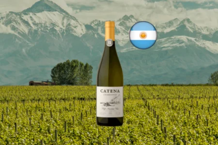 Catena Chardonnay 2024 - Thumbnail