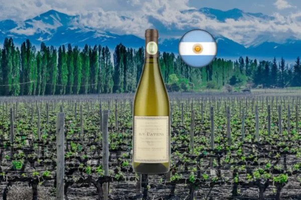 DV Catena Chardonnay-Chardonnay 2024 - Thumbnail