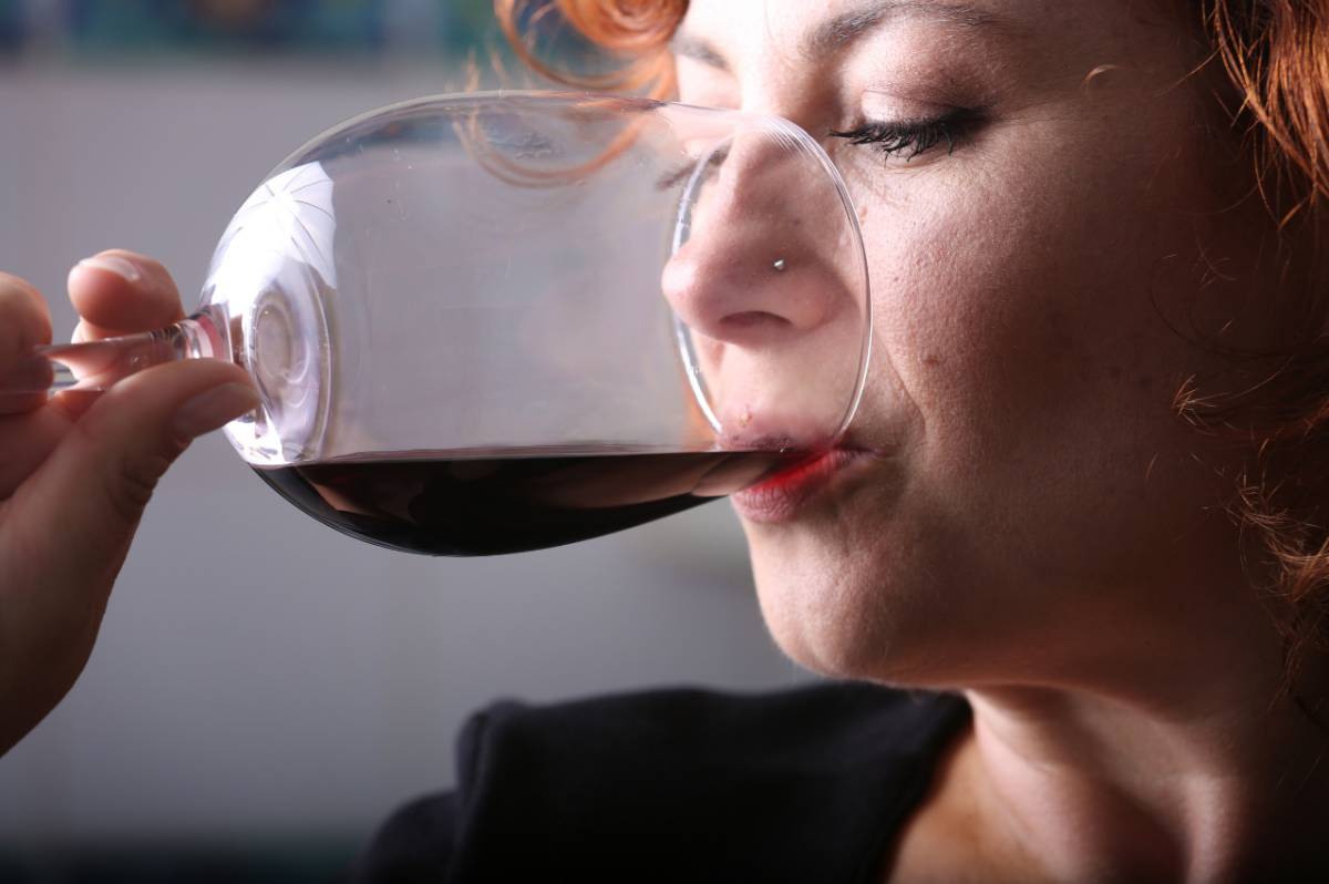 Pech des Cades Corbières AOP - Degustando