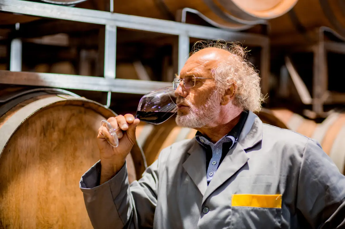 Saint Felicien Malbec 2024 - Degustando