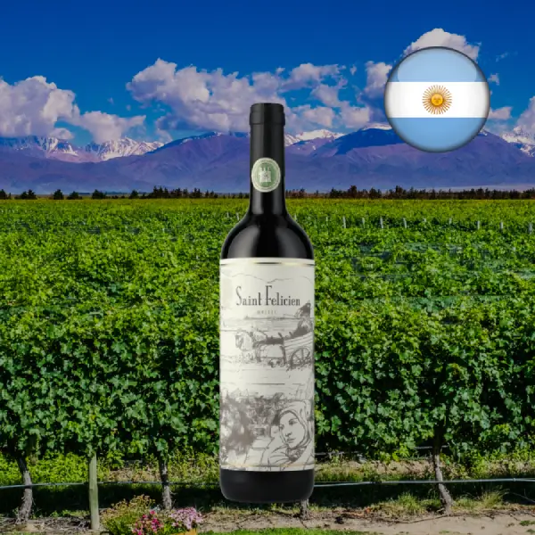 Saint Felicien Malbec 2024 - Oferta